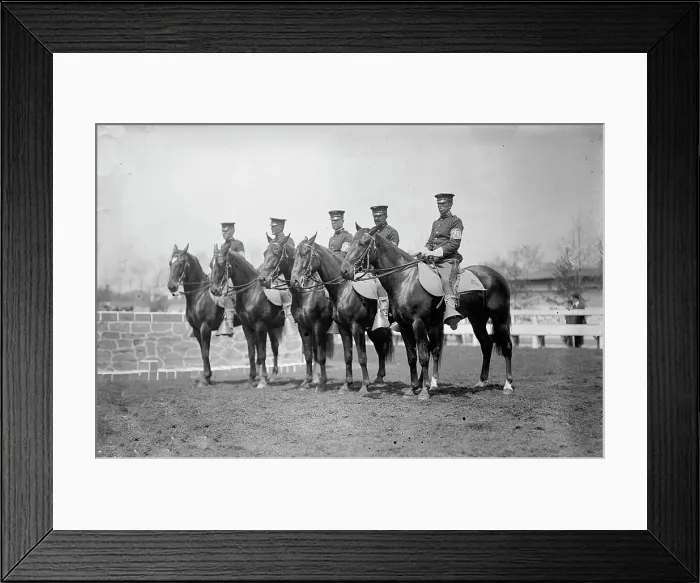 Framed Print : Horse Shows - U.S. Cavalry, 1911. Creator: Harris & Ewing. Horse Shows - U.S. Cavalry, 1911. Creator: Harris & Ewing Framed Print : Horse Shows - U.S. Cavalry, 1911. Creator: Harris & Ewing. Horse Shows - U.S. Cavalry, 1911. Creator: Harris & Ewing
