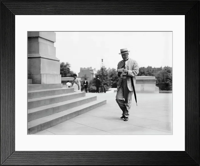 Framed Print : Albert Sidney Burleson, Rep. from Texas, 1911. Creator: Harris & Ewing. Albert Sidney Burleson, Rep. from Texas, 1911. Creator: Harris & Ewing Framed Print : Albert Sidney Burleson, Rep. from Texas, 1911. Creator: Harris & Ewing. Albert Sidney Burleson, Rep. from Texas, 1911. Creator: Harris & Ewing