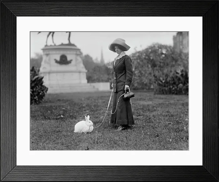 Framed Print : Mrs. J.R. Band with Pet Rabbit, 1911. Creator: Harris & Ewing. Mrs. J.R. Band with Pet Rabbit, 1911. Creator: Harris & Ewing Framed Print : Mrs. J.R. Band with Pet Rabbit, 1911. Creator: Harris & Ewing. Mrs. J.R. Band with Pet Rabbit, 1911. Creator: Harris & Ewing
