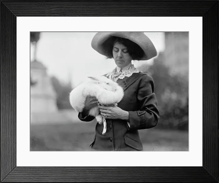 Framed Print : Mrs. J.R. Band with Pet Rabbit, 1911. Creator: Harris & Ewing. Mrs. J.R. Band with Pet Rabbit, 1911. Creator: Harris & Ewing Framed Print : Mrs. J.R. Band with Pet Rabbit, 1911. Creator: Harris & Ewing. Mrs. J.R. Band with Pet Rabbit, 1911. Creator: Harris & Ewing
