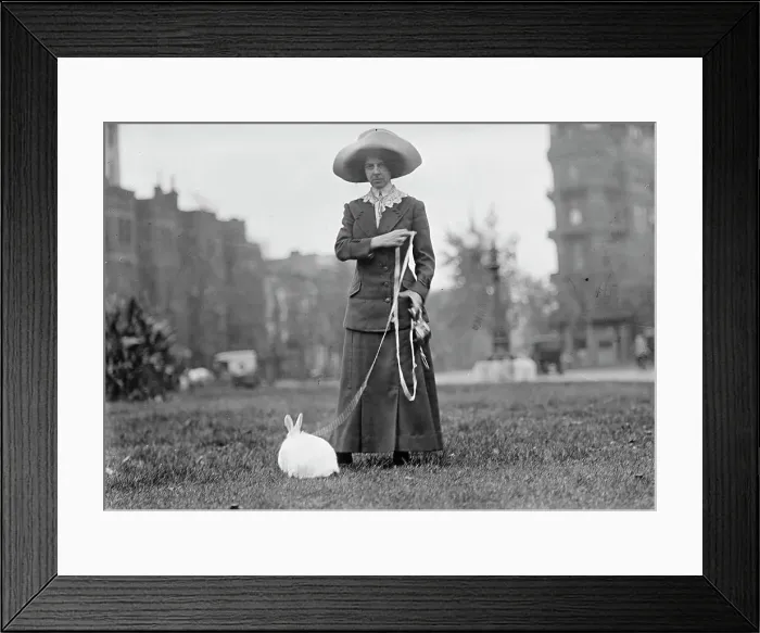 Framed Print : Mrs. J.R. Band with Pet Rabbit, 1911. Creator: Harris & Ewing. Mrs. J.R. Band with Pet Rabbit, 1911. Creator: Harris & Ewing Framed Print : Mrs. J.R. Band with Pet Rabbit, 1911. Creator: Harris & Ewing. Mrs. J.R. Band with Pet Rabbit, 1911. Creator: Harris & Ewing