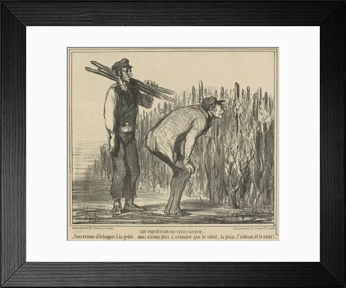 Framed Print : Les inqiétudes du viticulteur, 19th century. Creator: Honore Daumier Framed Print : Les inqiétudes du viticulteur, 19th century. Creator: Honore Daumier