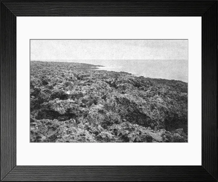 Framed Print : Une vue des cotes coralliennes de l'Australie; Les Terres Du Pacifique, 1914. Creator: Unknown Framed Print : Une vue des cotes coralliennes de l'Australie; Les Terres Du Pacifique, 1914. Creator: Unknown