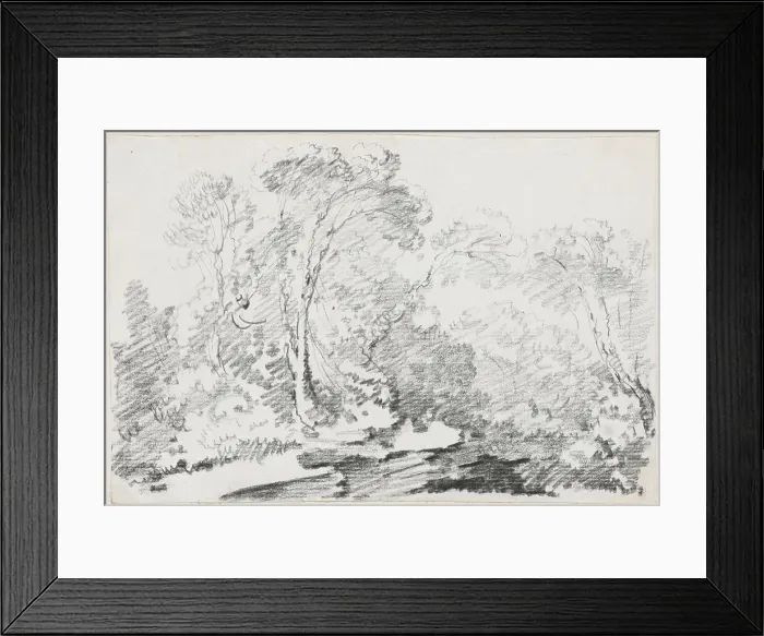 Framed Print : Trees, 1744 / 1750. Creator: Joseph-Marie Vien the Elder Framed Print : Trees, 1744 / 1750. Creator: Joseph-Marie Vien the Elder