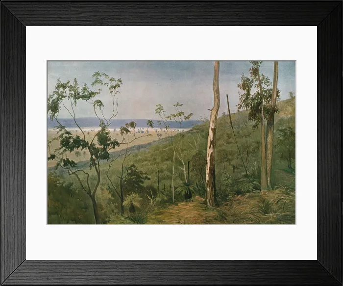 Framed Print : Une foret d'eucalyptus en Australie (Queensland); Les Terres Du Pacifique, 1914. Creator: Unknown Framed Print : Une foret d'eucalyptus en Australie (Queensland); Les Terres Du Pacifique, 1914. Creator: Unknown