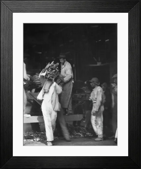 Framed Print : Unloading bananas, New Orleans, between 1920 and 1926. Creator: Arnold Genthe Framed Print : Unloading bananas, New Orleans, between 1920 and 1926. Creator: Arnold Genthe