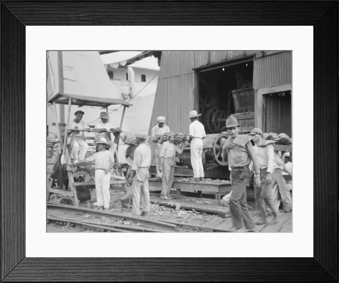 Framed Print : Unloading bananas, New Orleans, between 1920 and 1926. Creator: Arnold Genthe Framed Print : Unloading bananas, New Orleans, between 1920 and 1926. Creator: Arnold Genthe