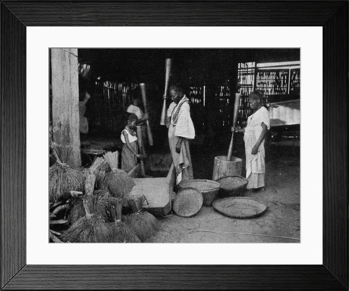 Framed Print : La preparation du riz aux Philippines; Les Terres Du Pacifique, 1914. Creator: Unknown Framed Print : La preparation du riz aux Philippines; Les Terres Du Pacifique, 1914. Creator: Unknown