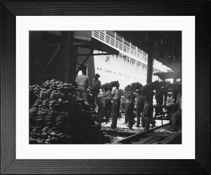 Framed Print : Unloading bananas, New Orleans, between 1920 and 1926. Creator: Arnold Genthe Framed Print : Unloading bananas, New Orleans, between 1920 and 1926. Creator: Arnold Genthe