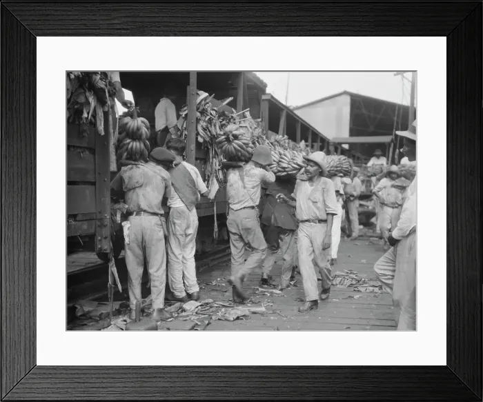 Framed Print : Unloading bananas, New Orleans, between 1920 and 1926. Creator: Arnold Genthe Framed Print : Unloading bananas, New Orleans, between 1920 and 1926. Creator: Arnold Genthe