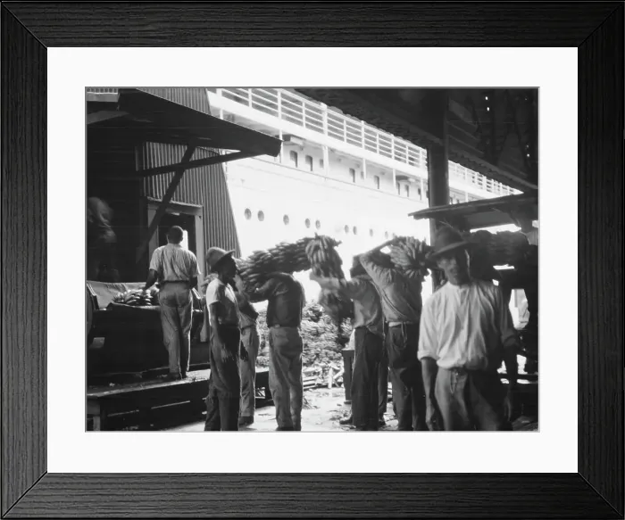 Framed Print : Unloading bananas, New Orleans, between 1920 and 1926. Creator: Arnold Genthe Framed Print : Unloading bananas, New Orleans, between 1920 and 1926. Creator: Arnold Genthe