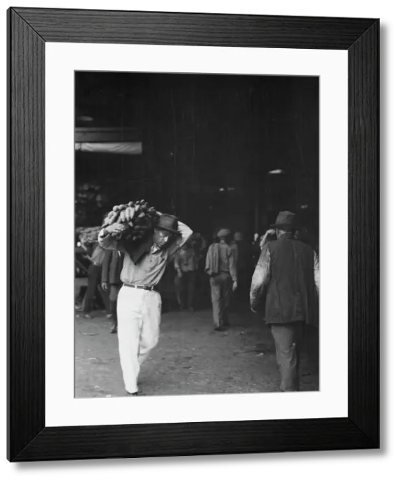 Framed Print : Unloading bananas, New Orleans, between 1920 and 1926. Creator: Arnold Genthe Framed Print : Unloading bananas, New Orleans, between 1920 and 1926. Creator: Arnold Genthe
