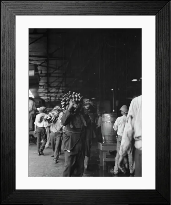 Framed Print : Unloading bananas, New Orleans, between 1920 and 1926. Creator: Arnold Genthe Framed Print : Unloading bananas, New Orleans, between 1920 and 1926. Creator: Arnold Genthe