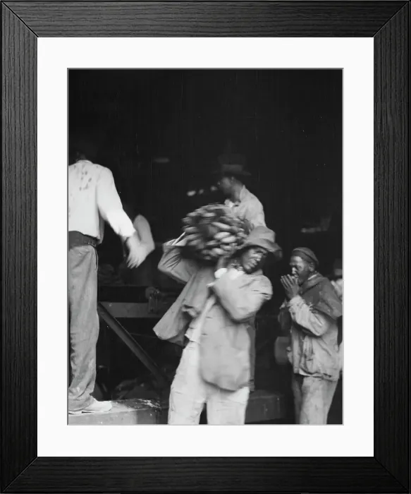 Framed Print : Unloading bananas, New Orleans, between 1920 and 1926. Creator: Arnold Genthe Framed Print : Unloading bananas, New Orleans, between 1920 and 1926. Creator: Arnold Genthe