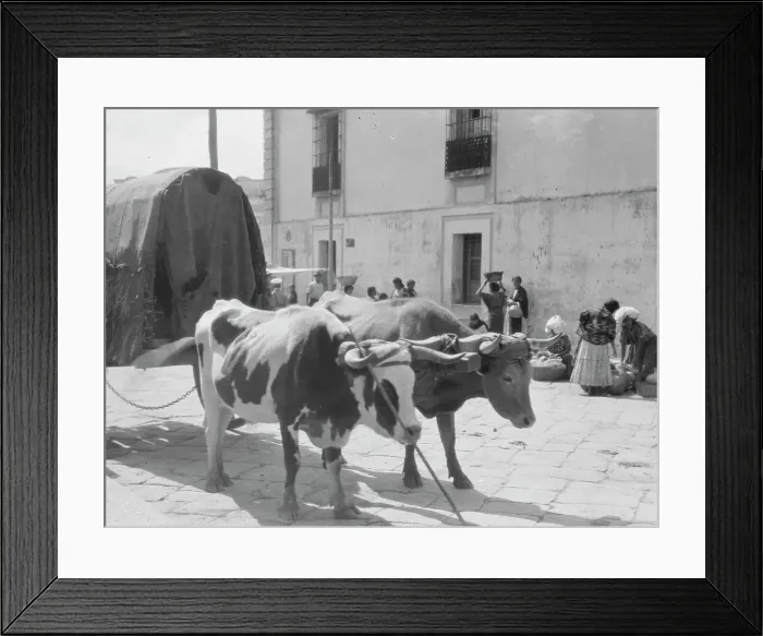 Framed Print : Travel views of Cuba and Guatemala, between 1899 and 1926. Creator: Arnold Genthe Framed Print : Travel views of Cuba and Guatemala, between 1899 and 1926. Creator: Arnold Genthe