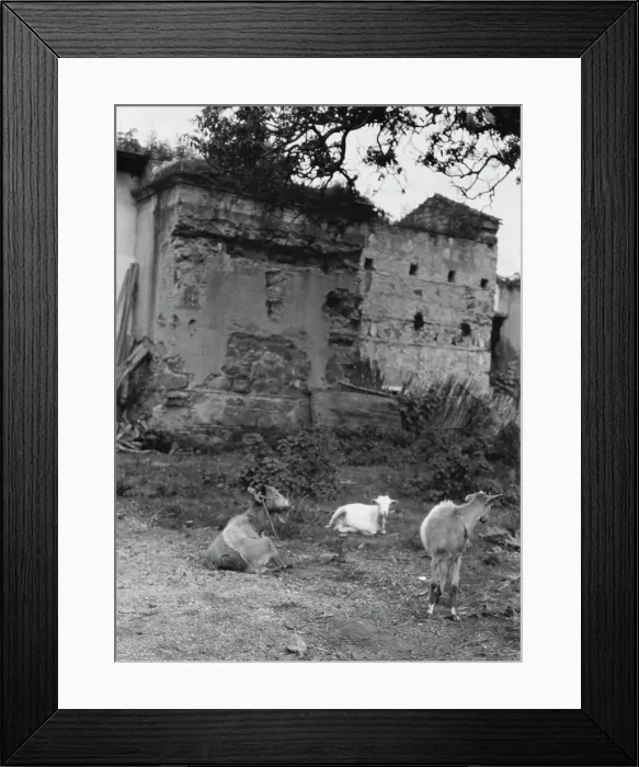 Framed Print : Travel views of Cuba and Guatemala, between 1899 and 1926. Creator: Arnold Genthe Framed Print : Travel views of Cuba and Guatemala, between 1899 and 1926. Creator: Arnold Genthe