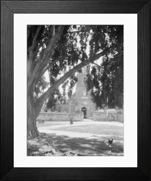 Framed Print : Travel views of Cuba and Guatemala, between 1899 and 1926. Creator: Arnold Genthe Framed Print : Travel views of Cuba and Guatemala, between 1899 and 1926. Creator: Arnold Genthe
