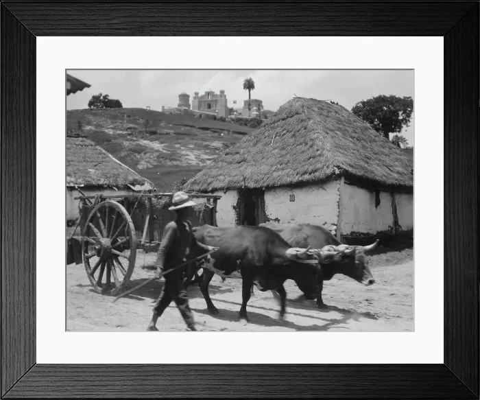 Framed Print : Travel views of Cuba and Guatemala, between 1899 and 1926. Creator: Arnold Genthe Framed Print : Travel views of Cuba and Guatemala, between 1899 and 1926. Creator: Arnold Genthe