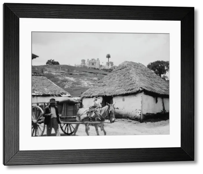 Framed Print : Travel views of Cuba and Guatemala, between 1899 and 1926. Creator: Arnold Genthe Framed Print : Travel views of Cuba and Guatemala, between 1899 and 1926. Creator: Arnold Genthe