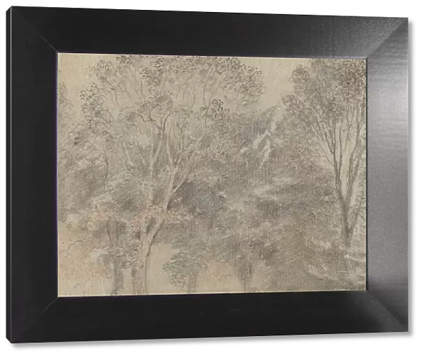 Treetops [verso]. Creator: Jean-Antoine Watteau
