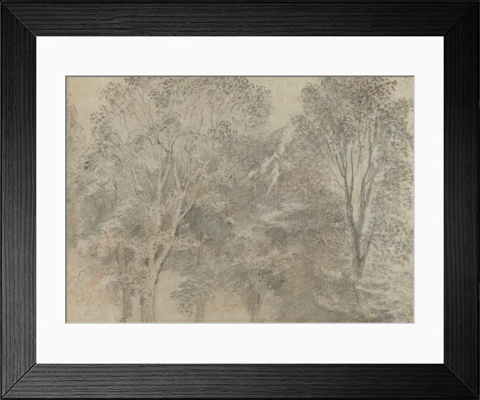 Framed Print : Treetops [verso]. Creator: Jean-Antoine Watteau