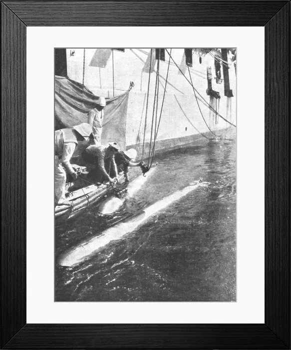 Framed Print : La flotte Francaise en orient; Repechage de torpilles apres un exercice de lancement, 1916. Creator: Unknown Framed Print : La flotte Francaise en orient; Repechage de torpilles apres un exercice de lancement, 1916. Creator: Unknown