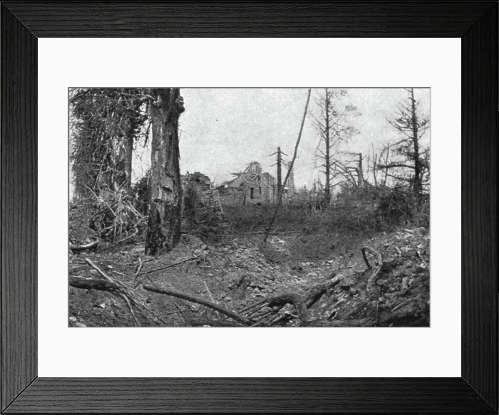 Framed Print : La Bataille de la Somme; Dans le parc de la Maisonnette, 1916. Creator: Unknown Framed Print : La Bataille de la Somme; Dans le parc de la Maisonnette, 1916. Creator: Unknown