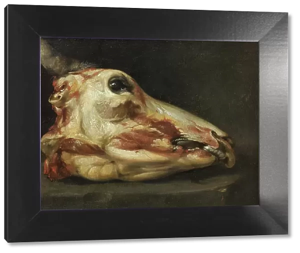 Skinned Head of an Ox, 1688-1691. Creators: Francisco Goya, Felice Boselli