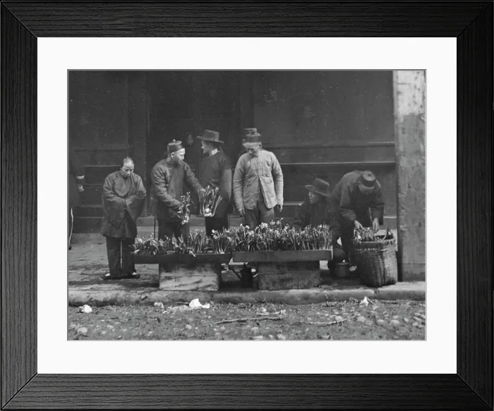 Framed Print : The lily vendor, Chinatown, San Francisco, between 1896 and 1906. Creator: Arnold Genthe Framed Print : The lily vendor, Chinatown, San Francisco, between 1896 and 1906. Creator: Arnold Genthe