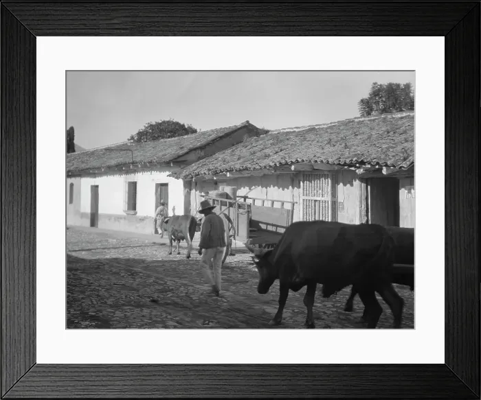 Framed Print : Travel views of Cuba and Guatemala, between 1899 and 1926. Creator: Arnold Genthe Framed Print : Travel views of Cuba and Guatemala, between 1899 and 1926. Creator: Arnold Genthe