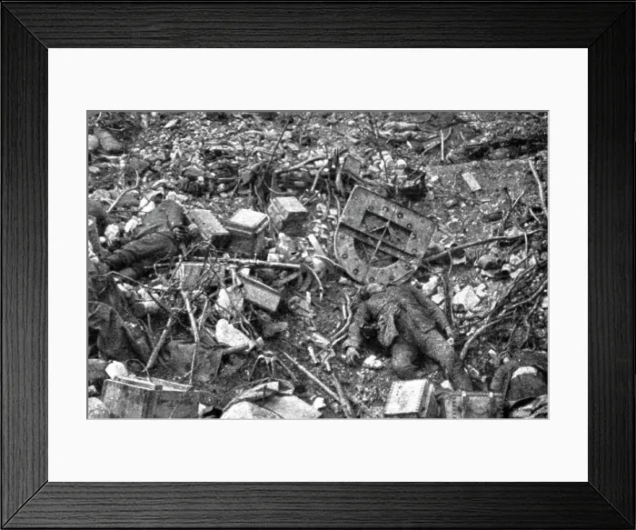 Framed Print : Contrastes sur le front de la Somme; Un fortin allemand pres du Bois de Hem, 1916. Creator: Unknown Framed Print : Contrastes sur le front de la Somme; Un fortin allemand pres du Bois de Hem, 1916. Creator: Unknown