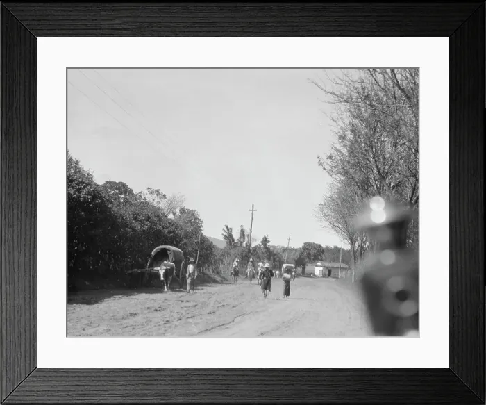 Framed Print : Travel views of Cuba and Guatemala, between 1899 and 1926. Creator: Arnold Genthe Framed Print : Travel views of Cuba and Guatemala, between 1899 and 1926. Creator: Arnold Genthe