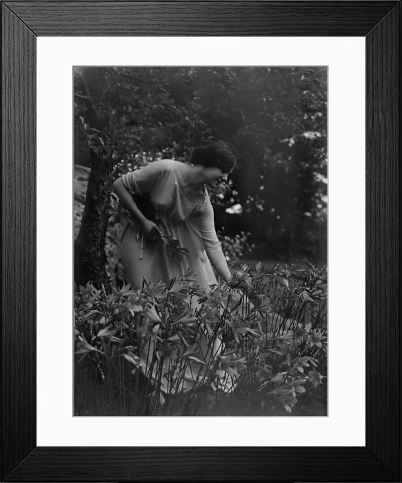 Framed Print : Beyer, Hilda, Miss, picking flowers in a garden, 1915 Apr. 26. Creator: Arnold Genthe Framed Print : Beyer, Hilda, Miss, picking flowers in a garden, 1915 Apr. 26. Creator: Arnold Genthe