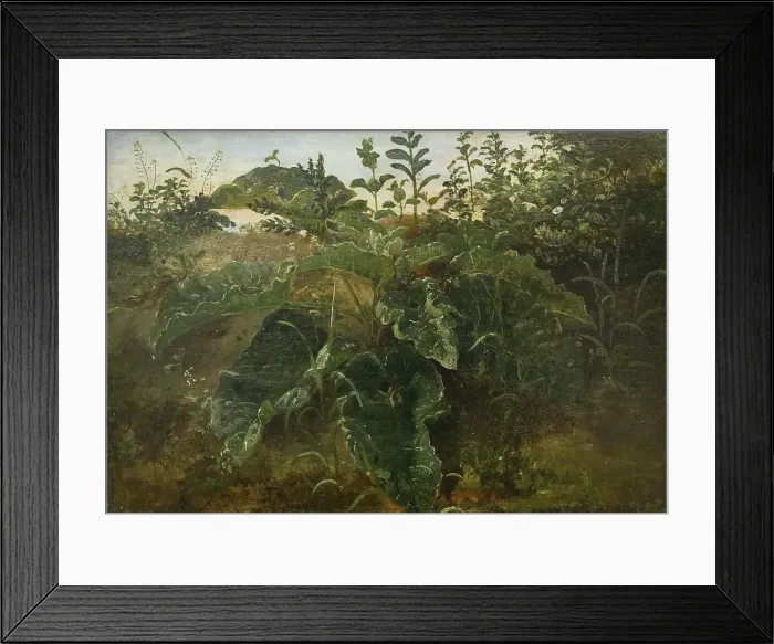 Framed Print : Foreground Study with Dock Leaves, 1840-1849. Creator: Dankvart Dreyer Framed Print : Foreground Study with Dock Leaves, 1840-1849. Creator: Dankvart Dreyer