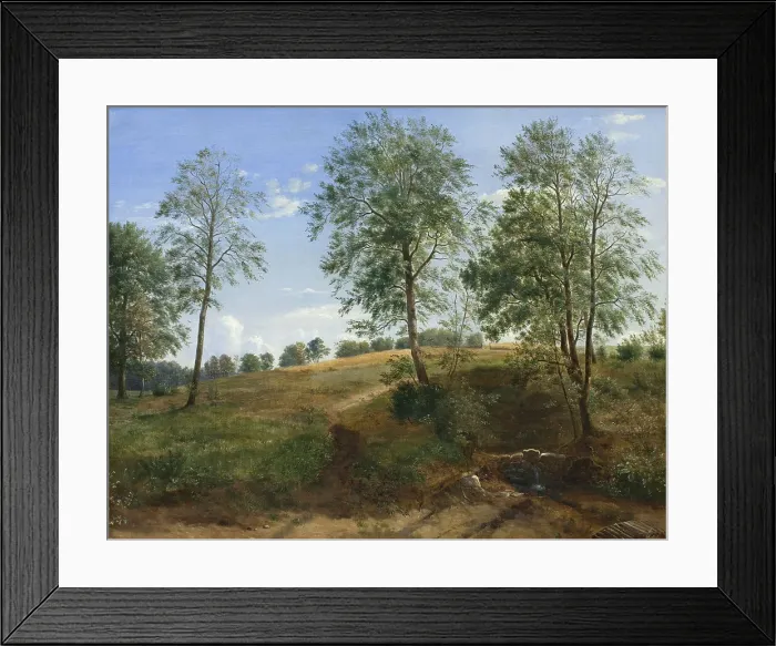 Framed Print : The Caroline Spring at Næsby on Funen, 1844-1845. Creator: Dankvart Dreyer Framed Print : The Caroline Spring at Næsby on Funen, 1844-1845. Creator: Dankvart Dreyer