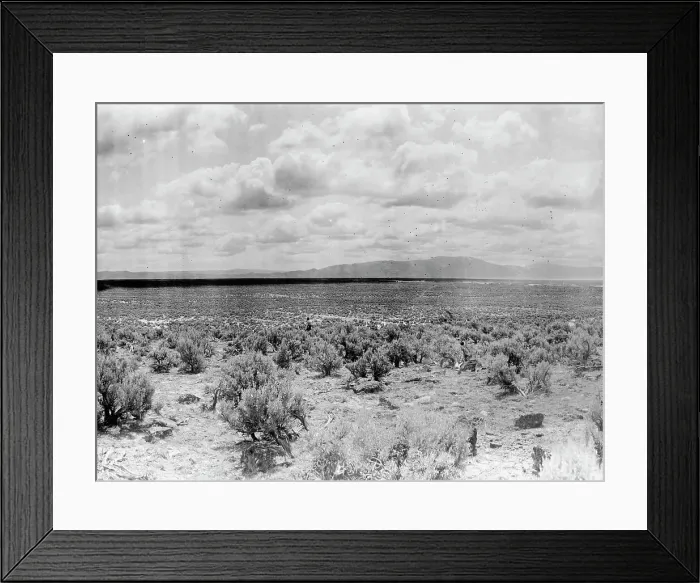 Framed Print : Minidoka Project - U.S. Reclamation Bureau. Minidoka Desert in 1905, Before Irrigation, 1912. Creator: Harris & Ewing. Minidoka Project - U.S. Reclamation Bureau. Minidoka Desert in 1905, Before Irrigation, 1912. Creator: Harris & Ewing Framed Print : Minidoka Project - U.S. Reclamation Bureau. Minidoka Desert in 1905, Before Irrigation, 1912. Creator: Harris & Ewing. Minidoka Project - U.S. Reclamation Bureau. Minidoka Desert in 1905, Before Irrigation, 1912. Creator: Harris & Ewing