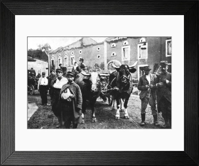 Framed Print : En Alsace et sur la Frontiere; Bremenil, que traverse ce convoi de blesses, 1914. Creator: Unknown Framed Print : En Alsace et sur la Frontiere; Bremenil, que traverse ce convoi de blesses, 1914. Creator: Unknown