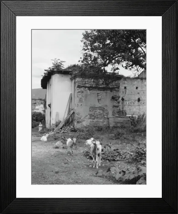 Framed Print : Travel views of Cuba and Guatemala, between 1899 and 1926. Creator: Arnold Genthe Framed Print : Travel views of Cuba and Guatemala, between 1899 and 1926. Creator: Arnold Genthe