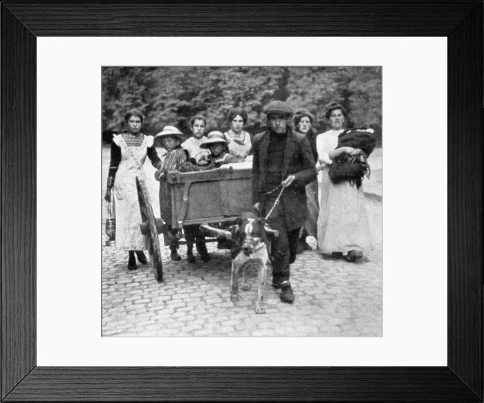 Framed Print : Devant l'envahisseur; Beaucoup, qui ne possedent qu'un chien comme bete de trait, 1914. Creator: Unknown Framed Print : Devant l'envahisseur; Beaucoup, qui ne possedent qu'un chien comme bete de trait, 1914. Creator: Unknown