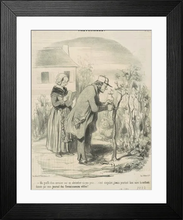 Framed Print : Ma greffe d'un cerisier sur un abricotier n'a pas pris... 19th century. Creator: Honore Daumier Framed Print : Ma greffe d'un cerisier sur un abricotier n'a pas pris... 19th century. Creator: Honore Daumier