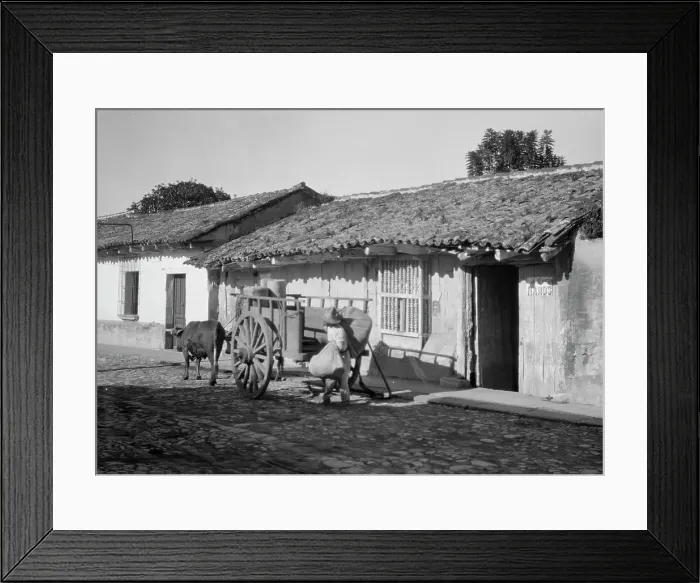 Framed Print : Travel views of Cuba and Guatemala, between 1899 and 1926. Creator: Arnold Genthe Framed Print : Travel views of Cuba and Guatemala, between 1899 and 1926. Creator: Arnold Genthe