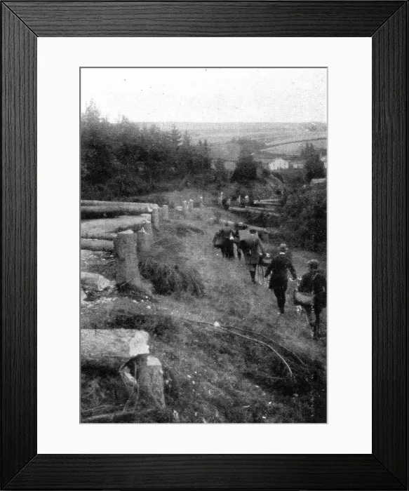 Framed Print : De magnifigues arbres ombrageaient les grandes routes menant a Liege, 1914 Creator: Unknown Framed Print : De magnifigues arbres ombrageaient les grandes routes menant a Liege, 1914 Creator: Unknown