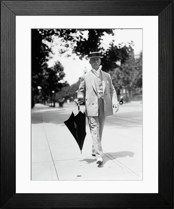 Framed Print : George Thomas Marye, Ambassador To Russia, 1914. Creator: Harris & Ewing. George Thomas Marye, Ambassador To Russia, 1914. Creator: Harris & Ewing Framed Print : George Thomas Marye, Ambassador To Russia, 1914. Creator: Harris & Ewing. George Thomas Marye, Ambassador To Russia, 1914. Creator: Harris & Ewing