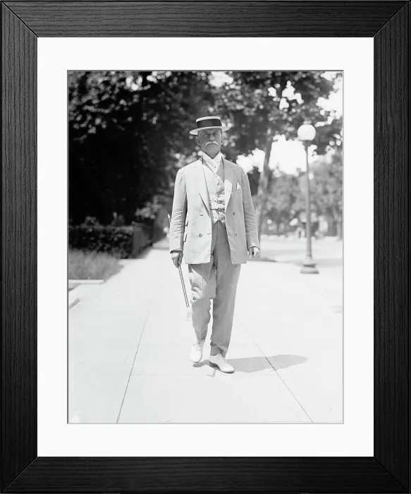 Framed Print : George Thomas Marye, Ambassador To Russia, 1914. Creator: Harris & Ewing. George Thomas Marye, Ambassador To Russia, 1914. Creator: Harris & Ewing Framed Print : George Thomas Marye, Ambassador To Russia, 1914. Creator: Harris & Ewing. George Thomas Marye, Ambassador To Russia, 1914. Creator: Harris & Ewing