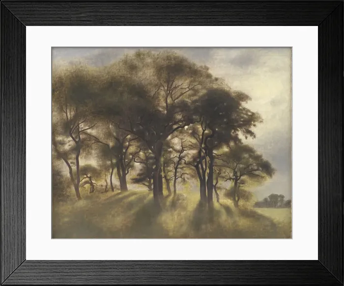 Framed Print : Near Fortunen, Jægersborg Deer Park, North of Copenhagen;From the Deerpark near Copenhagen, 1901. Creator: Vilhelm Hammershøi Framed Print : Near Fortunen, Jægersborg Deer Park, North of Copenhagen;From the Deerpark near Copenhagen, 1901. Creator: Vilhelm Hammershøi