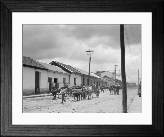 Framed Print : Travel views of Cuba and Guatemala, between 1899 and 1926. Creator: Arnold Genthe Framed Print : Travel views of Cuba and Guatemala, between 1899 and 1926. Creator: Arnold Genthe