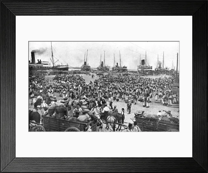 Framed Print : Le Loyalisme de L'Afrique Francaise, 1914. Creator: Geiser Framed Print : Le Loyalisme de L'Afrique Francaise, 1914. Creator: Geiser