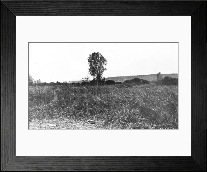 Framed Print : L'immense champ de Bataille, 1914. Creator: Unknown Framed Print : L'immense champ de Bataille, 1914. Creator: Unknown