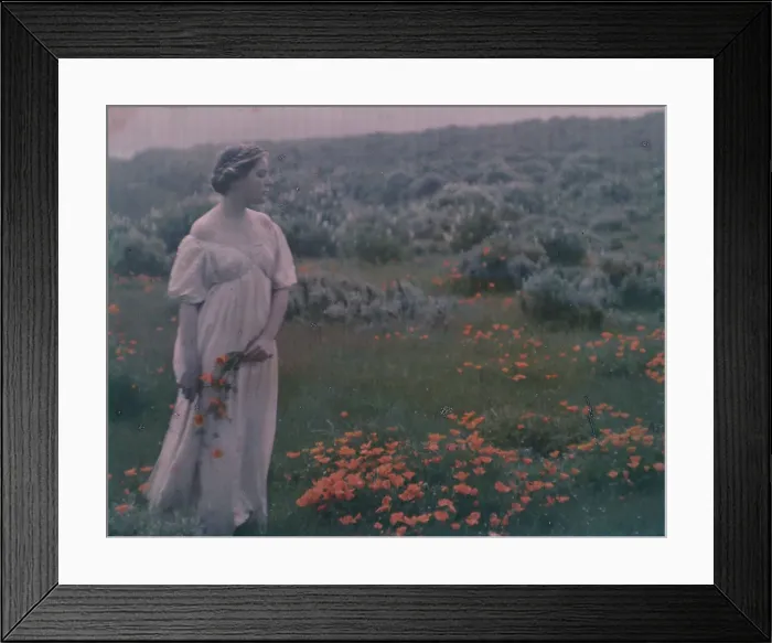 Framed Print : Helen MacGowan Cooke picking California golden poppies in a field, between 1906 and 1911. Creator: Arnold Genthe Framed Print : Helen MacGowan Cooke picking California golden poppies in a field, between 1906 and 1911. Creator: Arnold Genthe