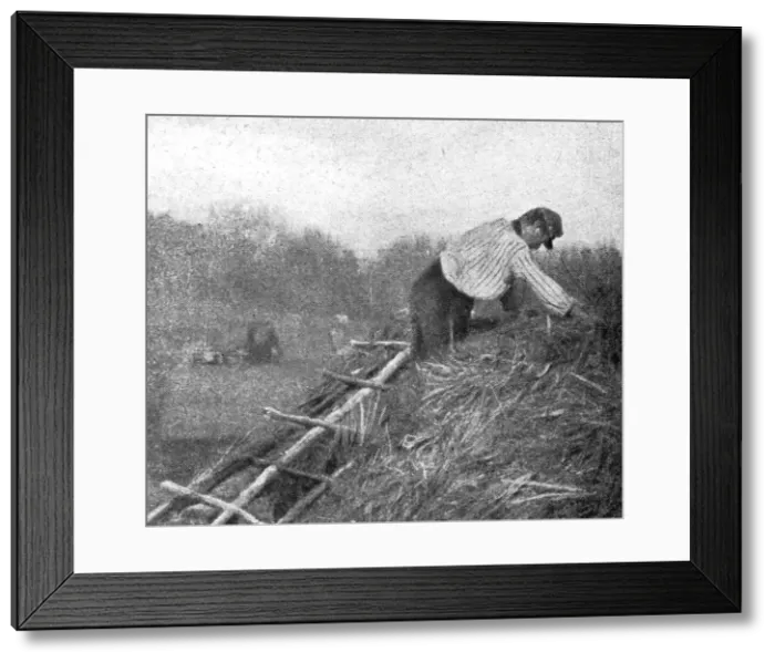 Framed Print : Le front pittoresque; Villages de Paillot et Terriers a flanc de coteaux: Un couvreur, 1914. Creator: Unknown. Le front pittoresque; Villages de Paillot et Terriers a flanc de coteaux: Un couvreur, 1914. Creator: Unknown Framed Print : Le front pittoresque; Villages de Paillot et Terriers a flanc de coteaux: Un couvreur, 1914. Creator: Unknown. Le front pittoresque; Villages de Paillot et Terriers a flanc de coteaux: Un couvreur, 1914. Creator: Unknown